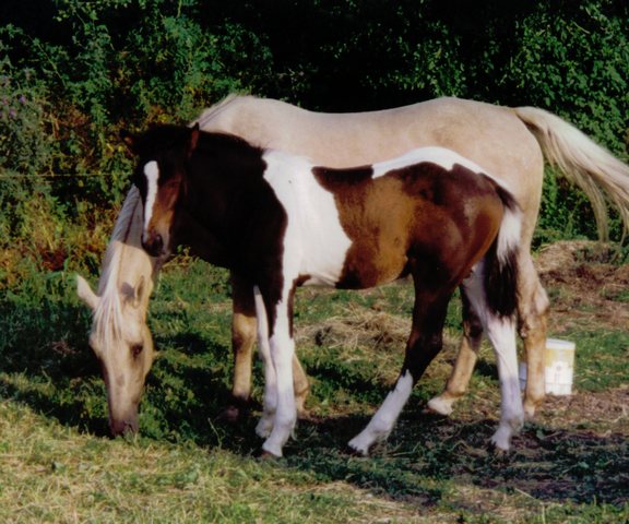 Click to see next picture