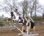  Hope 2003 16.1hh mare.Now sold to another happy home