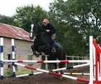 Sparky Cob X for sale